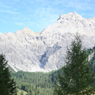 Panüler
