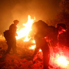 AFP_F29B4.jpg
