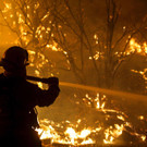 AFP_F29W4.jpg