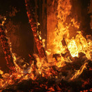 AFP_F29WI.jpg