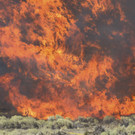 California_Wildfires_Refusing_to_Leave.jpg