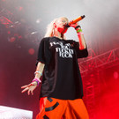 Die Antwoord - Frequency 2016 - florian wieser - 015.jpg