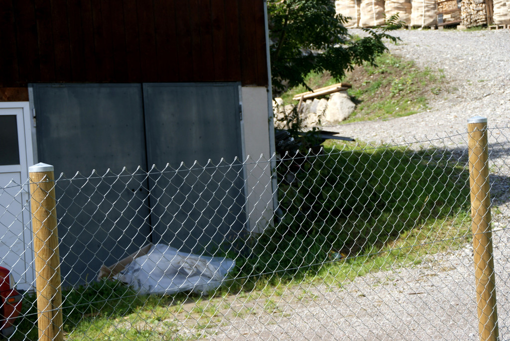 Anrainer m__ssen Z__une zum Schutz vor den Hunden errichten.JPG