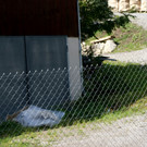 Anrainer m__ssen Z__une zum Schutz vor den Hunden errichten.JPG