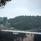 AFP_FG5P4.jpg