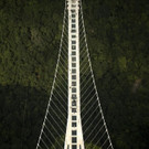 AFP_FG5L0.jpg
