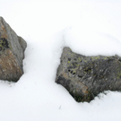 _DSC0144_JPG-1277394651
