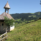 IMG_9987.JPG