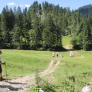 IMG_9996.JPG