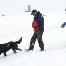 _DSC0232_JPG-1277395311