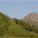 20100624_kanisfluh_aufgang_052_luc.JPG