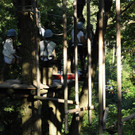 DSC_0202.JPG
