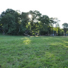 DSC_0210.JPG