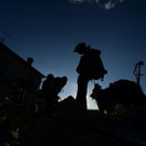 AFP_FL2CT.jpg