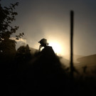 AFP_FL2BV.jpg
