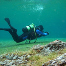 Beeindruckende Unterwasserwelt