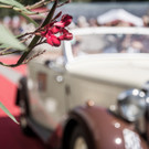 Vienna Classic Days 2016-47.JPG