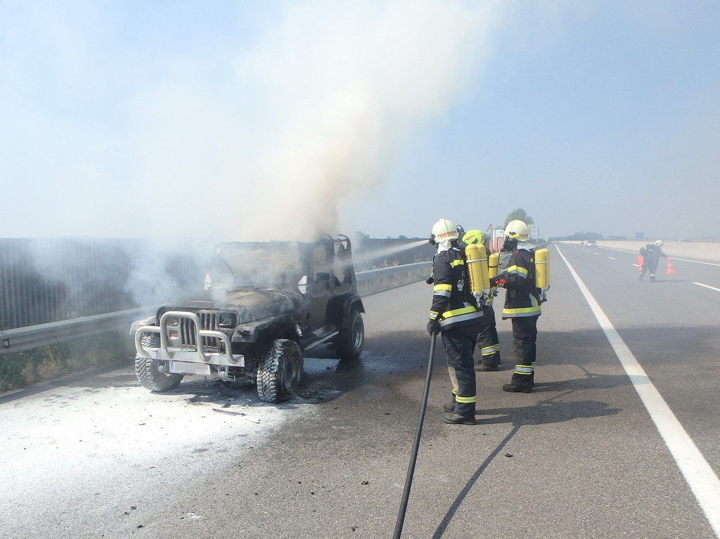 P8281487 _1600x1199_.jpg