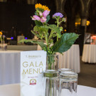 20_ Bruno Gala - 28_08_2016-8.JPG