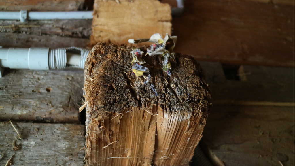 KOE_Pfadihuette Furx bald Geschichte 19.jpg