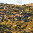 AFP_FP0Y4.jpg