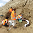 "Ziemlich sensationeller" Ur-Mammut- Fund von NHM-Forschern in NÖ geborgen