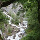 IMG_0534.JPG