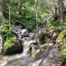 IMG_0540.JPG