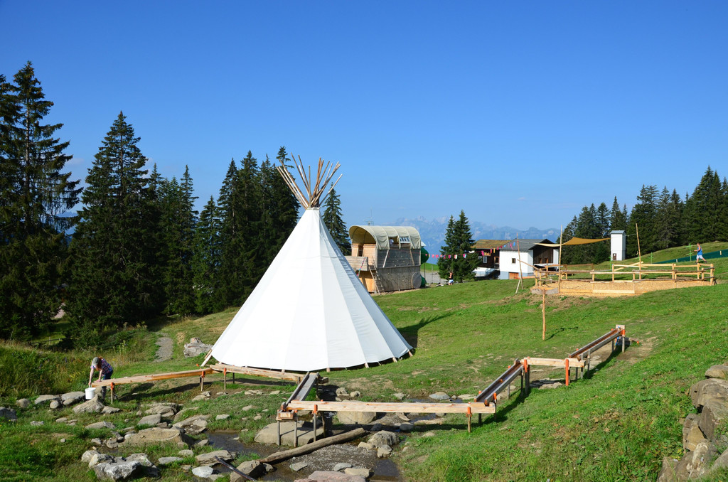 Gapfohl 2808_5.JPG