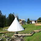 Gapfohl 2808_5.JPG