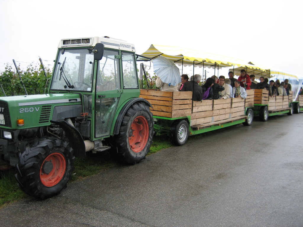 ausfl2010 005.jpg