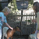 IMG_2244.JPG