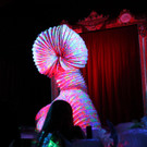 IMG_6166.JPG