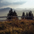 5E5A5516.jpg