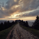 5E5A5754.jpg