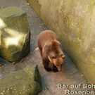 Linzreise    48.jpg