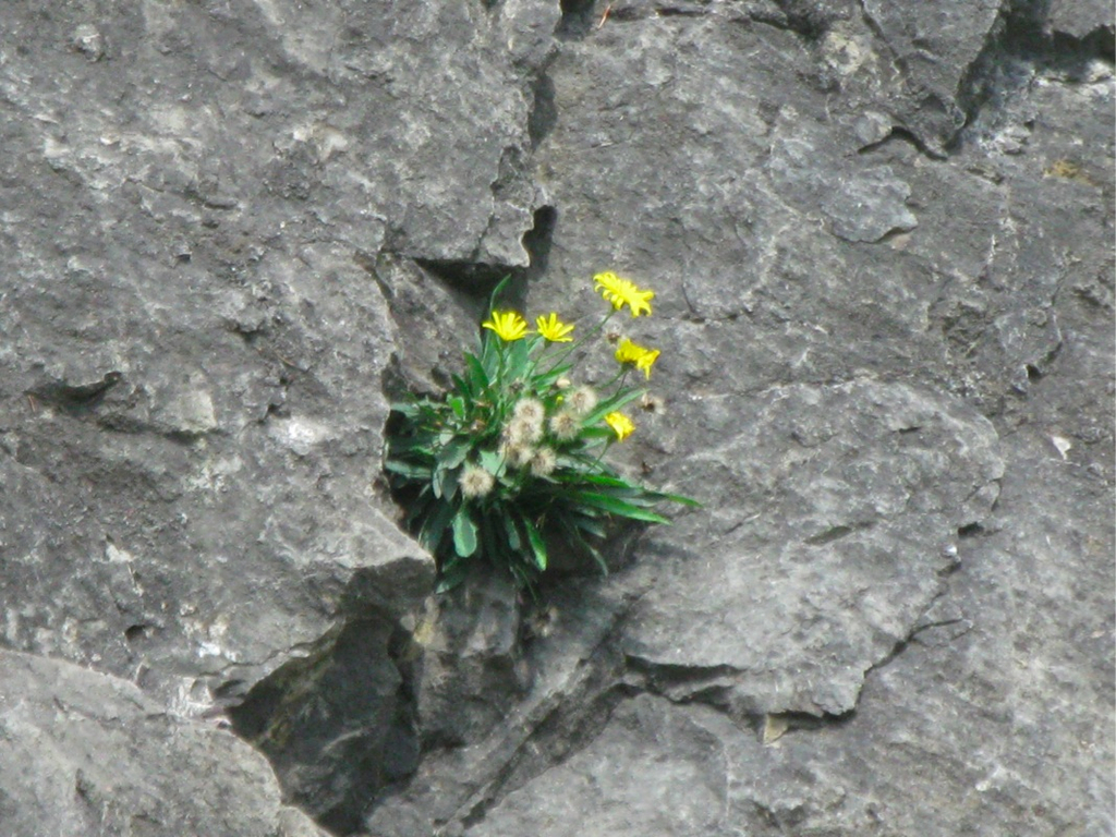 BK_illschlucht 6_jpg-1277480907