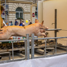 100 Jahre Naschmarkt 02_09_2016-35.JPG