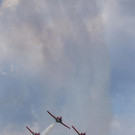 ABD0091-20160902.jpg