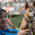 ACA Sommerfest 03_09_2016-10.JPG