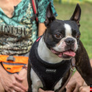 ACA Sommerfest 03_09_2016-28.JPG