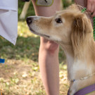 ACA Sommerfest 03_09_2016-50.JPG