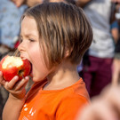 VolksstimmeFest - Jesuitenwiese - 03_09_2016-29.JPG