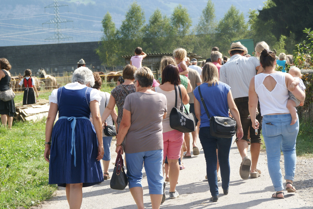 Gro__ und Klein folgten dem Vieh auf die Weide.JPG