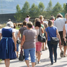 Gro__ und Klein folgten dem Vieh auf die Weide.JPG