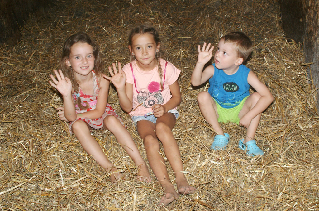 Im Stroh toben machte riesen Spa__.JPG