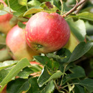 DSC00163.JPG