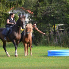 DSC_2567.jpg
