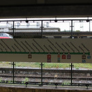 IMG_4565.JPG