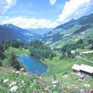 wald see.jpg